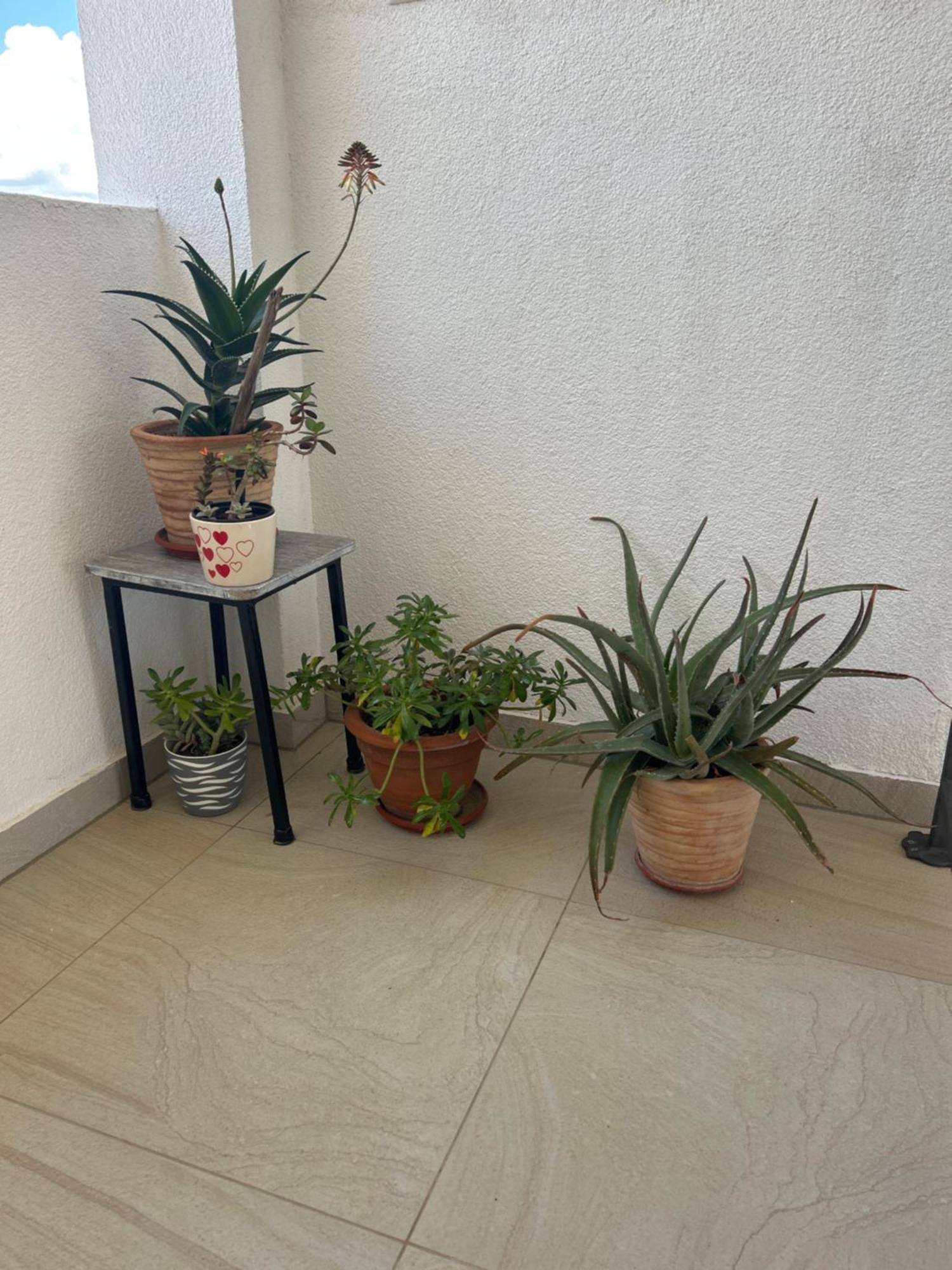 Apartments Purkovic โวดีเซ ภายนอก รูปภาพ
