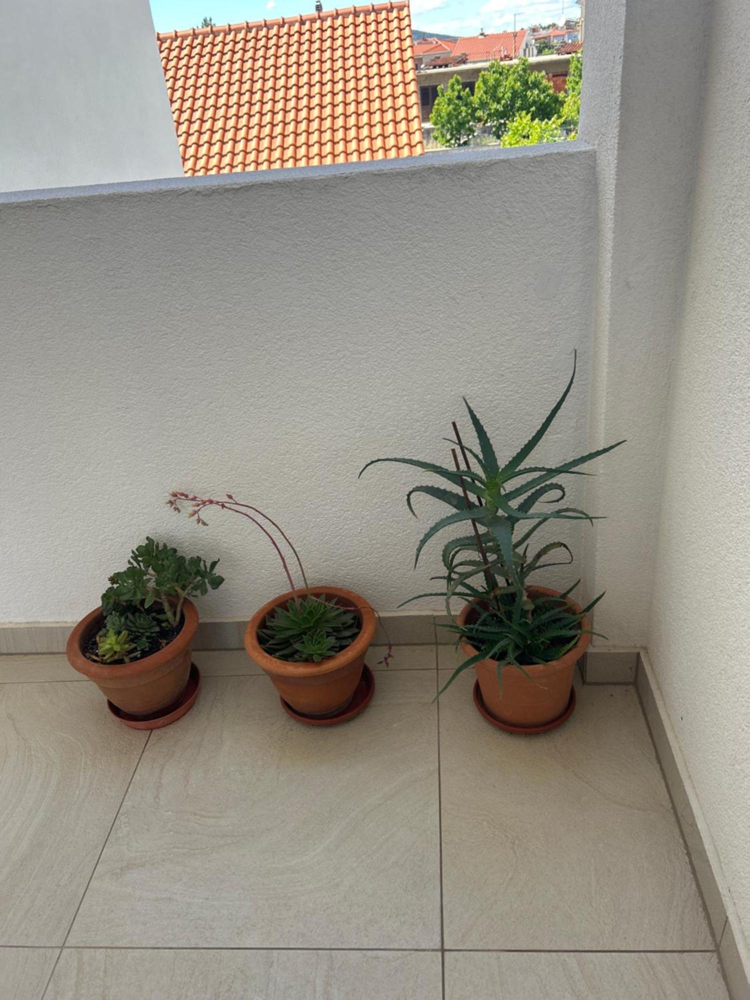 Apartments Purkovic โวดีเซ ภายนอก รูปภาพ